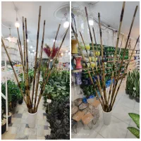 چوب بامبو ضخیم پایه گلدان استند سانسوریا یوکا پازل