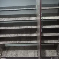 جاکفشی بزرگ ونو