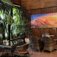 آشپز فرنگی کار و کارگر ساده نیازمندییم