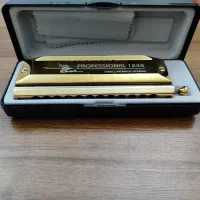 سازدهنی هارمونیکا کروماتیک SWAN Professional 1248|سازهای بادی|تهران, تهرانپارس غربی|دیوار