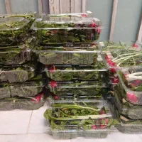 فروش نون عربی وسبزی|خوردنی و آشامیدنی|قم, قلعه کامکار|دیوار