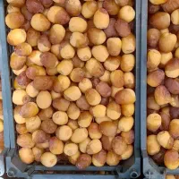 خارک و رطب شیرین و عسلی آبادان