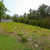 ۳۲۲مترزمین مسکونی سندششدانگ رودبارسرا|فروش زمین و ملک کلنگی|رضوانشهر, |دیوار