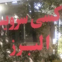 راننده با اتومبیل