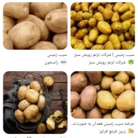 به چند نفر نیرو احتیاج داریم