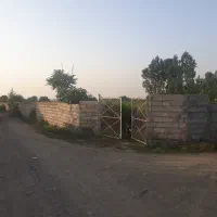 زمین-باغی-با-امتیاز-دامداری
