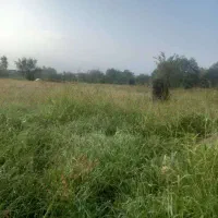 فروش قطعه زمین باغی