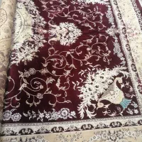 فرش12متری|فرش|مشهد, کوی دروی|دیوار