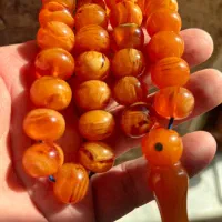 تسی کهنه بوی،شدید درشت ۳ تا|بدلیجات|کرج, باغستان|دیوار