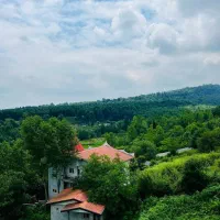 زمین‌جنگلی‌کوهستانی200متری+سندعرصه‌عیان+ویو‌جنگل