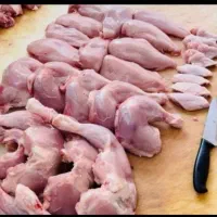 نیروی مرغ خورد کن قطعه بند مرغ