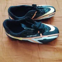 کفش|کیف، کفش، کمربند|بیرجند, |دیوار