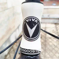 دوچرخه ویوا 26