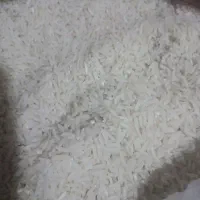 فروش برنج طارم هاشمی کشت دوم