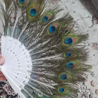 بادبزن پَر طاووس