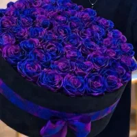 خاص پسند|گل مصنوعی|ارومیه, |دیوار