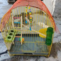 قفس|لوازم جانبی حیوانات|بانه, |دیوار