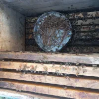 زنبور10قاب فشرده فروشی