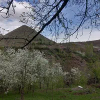 چاه کن مقنی
