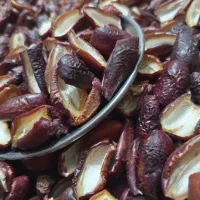 کپک ،هارک ، جاهین