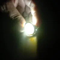انگشتر شجر نقره اصلی