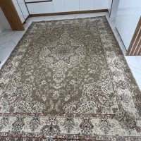 فرش|فرش|ابریشم, |دیوار