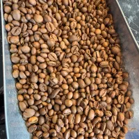 قهوه میکس ۷۰ربوستا