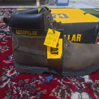 کاترپیلار اصل