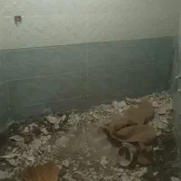 سنگ کاری کاشی کار سرامیک ایزوگام غیرگونی لکه کاری|خدمات پیشه و مهارت|قرچک, پارس سرام|دیوار