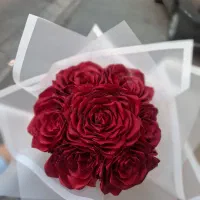 گل ربانی|گل مصنوعی|تاکستان, |دیوار