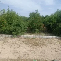کارگر دامداری وباغبانی