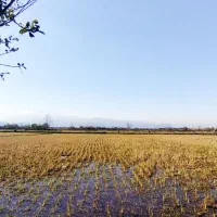 ۹هزارمتر شالی بر خط اصلی/جاده قلعه رودخان