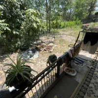 ۵۵۰متر سند تک برگ ۲ دقیقه شهر/رشت به کوچصفهان سنگر|فروش خانه و ویلا|سنگر, |دیوار