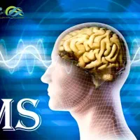 درد کمتر،حرکت بیشتر