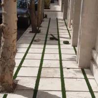 چمن بین موزائیکی متری ۲۳هزار تومان|مصالح و تجهیزات ساختمان|مشهد, هفت تیر (حافظ)|دیوار