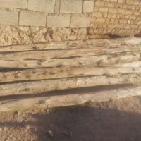 تیر اورس یا مرخ