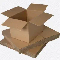 استخدام نیروی آقا برای خط تولید کارتن و کاغذ