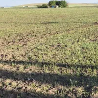 زمین کشاورزی