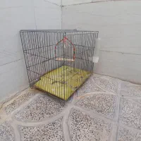 قفس|لوازم جانبی حیوانات|رومشکان, |دیوار