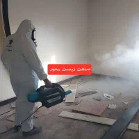 سمپاشی سوسک بامواد گیاهی موریانه زدایی سم پاشی ساس