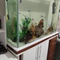 آکواریوم به همراه میز