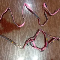 قلاده کتفی کوچک  سگ