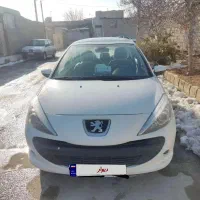 207 پانوراما دندهای