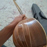 سه تار قشقایی دو مهر حرفه ای|سازهای سنتی|آباده, |دیوار