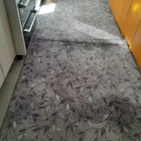 پالاز موکت نو|موکت|بروجرد, |دیوار