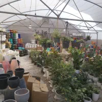 اجاره گلخانه جهت فروش گل و گلدان و نهالستان