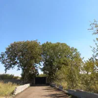 زمین /شهرکی /چهاردیواری ۶۰۰م  تهراندشت /سرخاب|فروش زمین و ملک کلنگی|هشتگرد, تهران دشت|دیوار