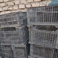 سبد|ظروف نگهدارنده، پلاستیکی، یک‌بارمصرف|مشهد, خواجه ربیع|دیوار