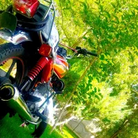 موتور سیکلت.