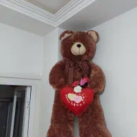 خرس بزرگ